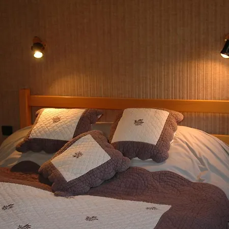 Résidence La Cour Aparthotel Samoëns