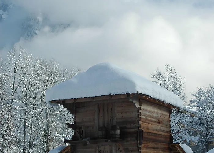 La Cour Samoëns